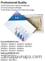 Ponart 20X40 Profesyonel Plus Kalite Tuval