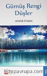 Gümüş Rengi Düşler