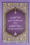 Errisaletü'l Adudiye