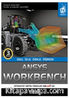 Ansys Workbench