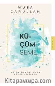 Küçümseme <br /> Büyük Mevzu’larda Küçük Fikirler