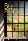 Boş Pencere
