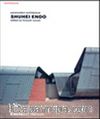 Shuhei Endo & Paramodern Architecture