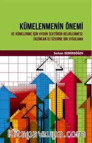 Kümelenmenin Önemi ve Kümelenme İçin Uygun Sektörün Belirlenmesi <br /> Erzincan İli Üzerine Bir Uygulama