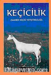 Keçicilik (Saanen Keçisi Yetiştiriciliği)