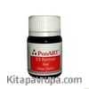 Ponart Cam Boyası Kırmızı