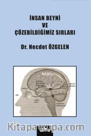 İnsan Beyni ve Çözebildiğimiz Sırları