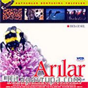 Arılar (VCD)