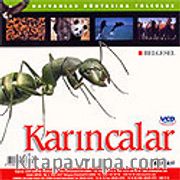 Karıncalar (VCD)
