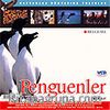 Penguenler (VCD)