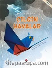 Çılgın Havalar - Origamiyle Bilim