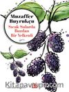 Sıcak Sularda Buzdan Bir Yelkenli
