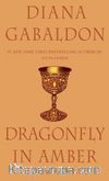 Dragon Fly In Amber