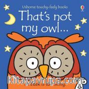 That's Not My Owl