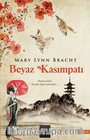 Beyaz Kasımpatı