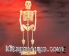 Montessori Ahşap Zeka Oyunları / w-3D Puzzle- Human Skeleton