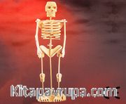 Montessori Ahşap Zeka Oyunları / w-3D Puzzle- Human Skeleton