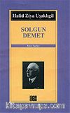 Solgun Demet