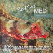 Red Sea in the Med