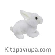 Pofuduk Tavşan (776581)