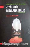 Ziyaeddin Mevlana Halid