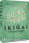 Ikigai Uygulama Rehberi