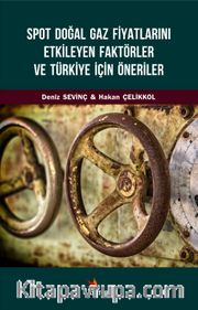 Spot Doğal Gaz Fiyatlarını Etkileyen Faktörler ve Türkiye İçin Öneriler