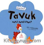 Tavuk Nasıl Yaratılıyor?