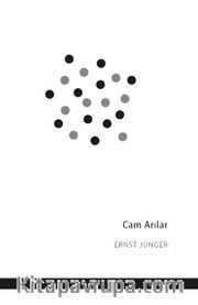 Cam Arılar