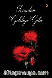 İçimden Geldiği Gibi