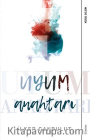 Uyum Anahtarı