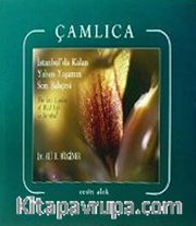 Çamlıca