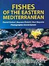 Fishes Of The Eastern Mediterranean