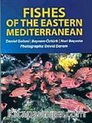 Fishes Of The Eastern Mediterranean