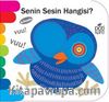 Senin Sesin Hangisi? / Delikli Kitaplar Serisi