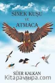Sinek Kuşu ve Atmaca