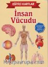 İnsan Vücudu / Eğitici Kartlar