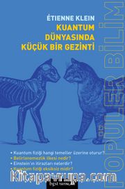 Kuantum Dünyasında Küçük Bir Gezinti