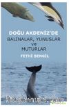 Doğu Akdeniz’de Balinalar, Yunuslar ve Muturlar