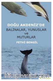 Doğu Akdeniz’de Balinalar, Yunuslar ve Muturlar