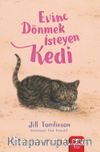Evine Dönmek İsteyen Kedi