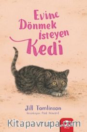 Evine Dönmek İsteyen Kedi