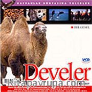 Develer (VCD)