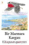 Bir Marmara Kargası