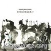 Nevid Müsmir - Toprak Çeker Nazımı (Cd)