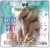 Koku, Tat, His & 49 Engelsiz Tarif