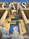 Cats Of Ephesos