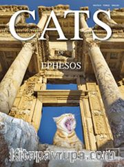Cats Of Ephesos