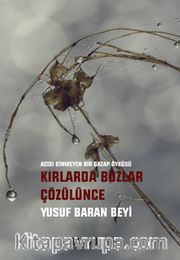 Kırlarda Buzlar Çözülünce
