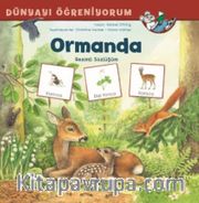 Ormanda Resimli Sözlüğüm / Dünyayı Öğreniyorum 